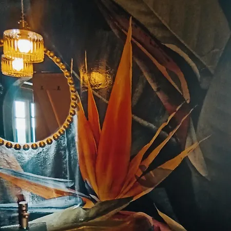 Cyclades Hidden Gem Retreat 度假居